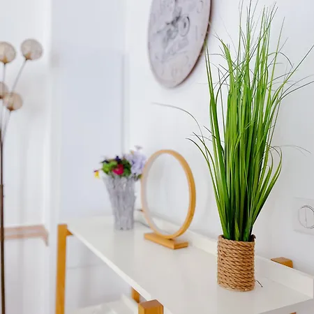 Le Canopee - Cozy Suquet Centre